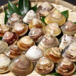 tikuyou-hamaou-3-6year-1kg(copy)